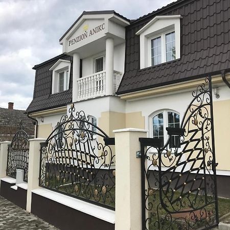 Penzion Aniko Diakovce-Sala Buitenkant foto